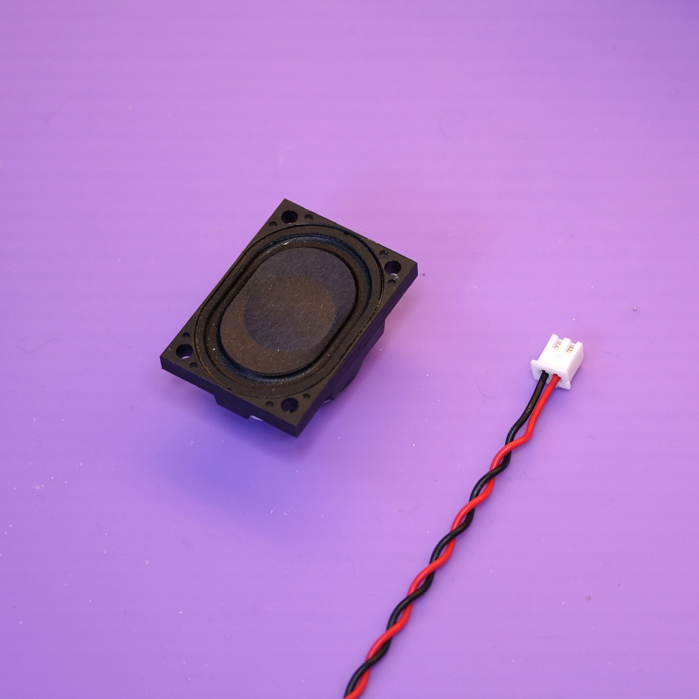 The speaker and the JST wiring harness